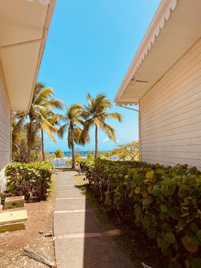 Tucum Home - Appart Au Village Vacances Sainte Anne Екстериор снимка